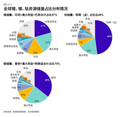 美国芯片不再安全？中国汽车产业呼吁谨慎采购，全球合作成新趋势  第8张