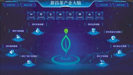 5G手机VS 4G网络：速度对比，稳定性挑战  第5张