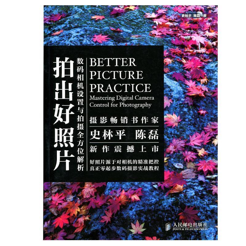 全面解析安卓相册管理系统：功能特性、操作指南及未来发展态势  第2张