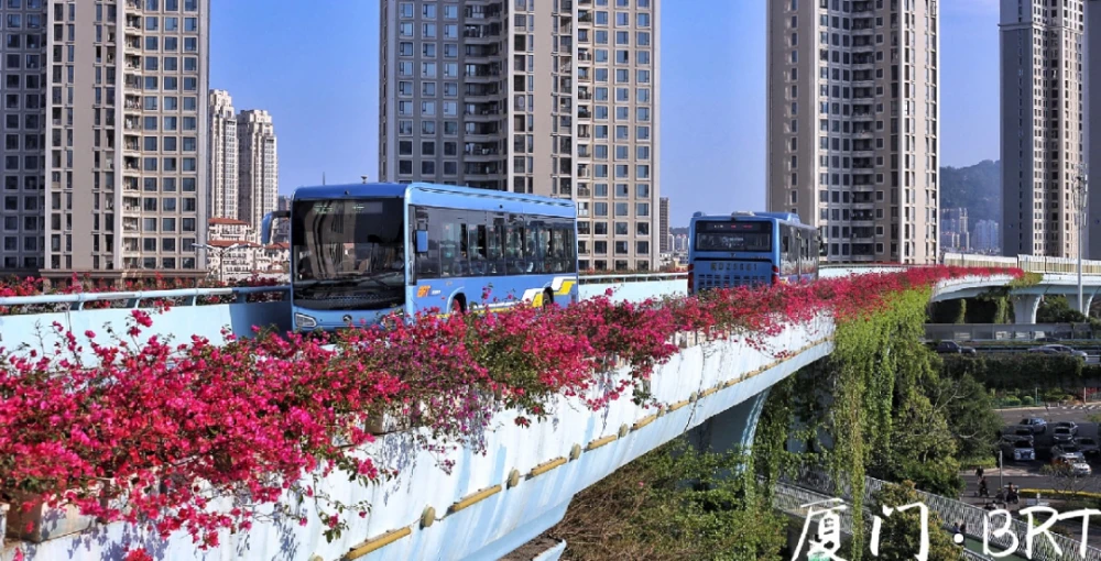 上海地铁通：提升出行效率，感受城市现代化进程  第6张