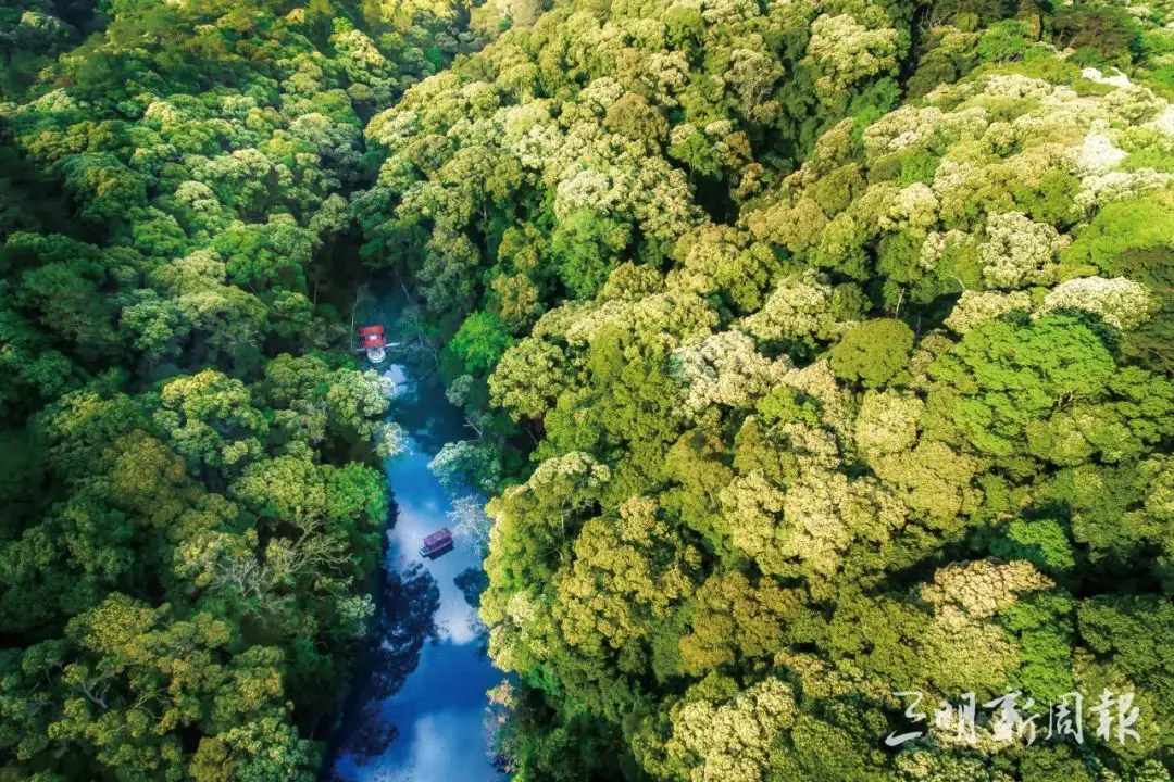 音乐魔法：蓝牙音箱，一键启动，消除疲惫，享受极致听觉盛宴  第2张