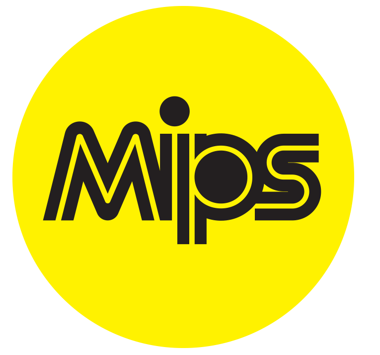 mips ddr MIPSDDR：科技进步的象征，内存规格的演进史  第1张