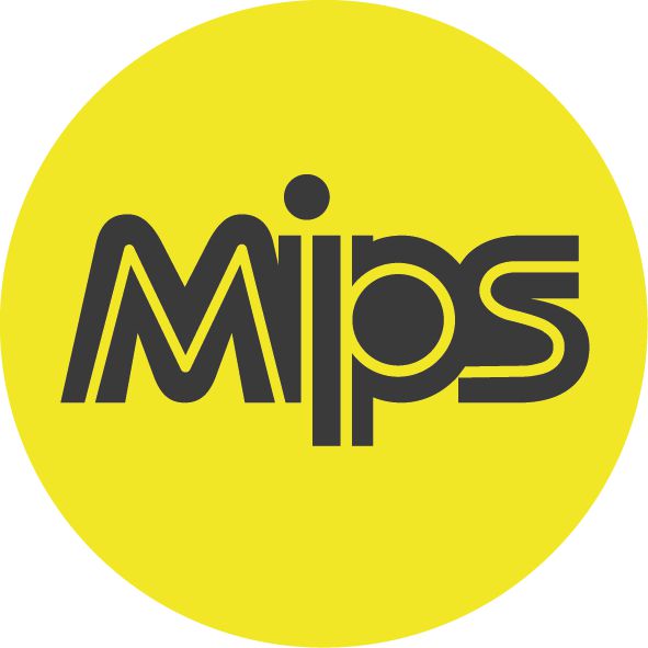 mips ddr MIPSDDR：科技进步的象征，内存规格的演进史  第8张