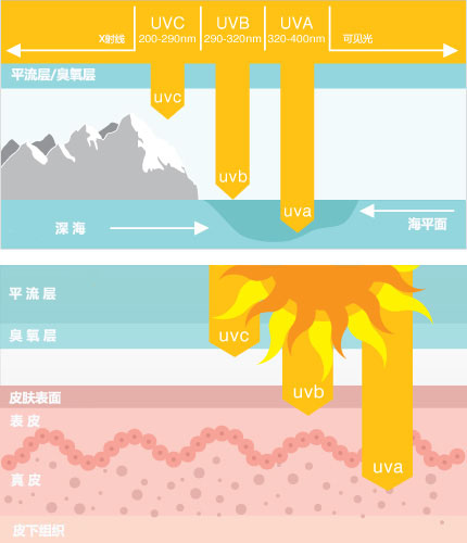 性能对决：7600GT 与 750TI 的较量，你更看好谁？  第6张