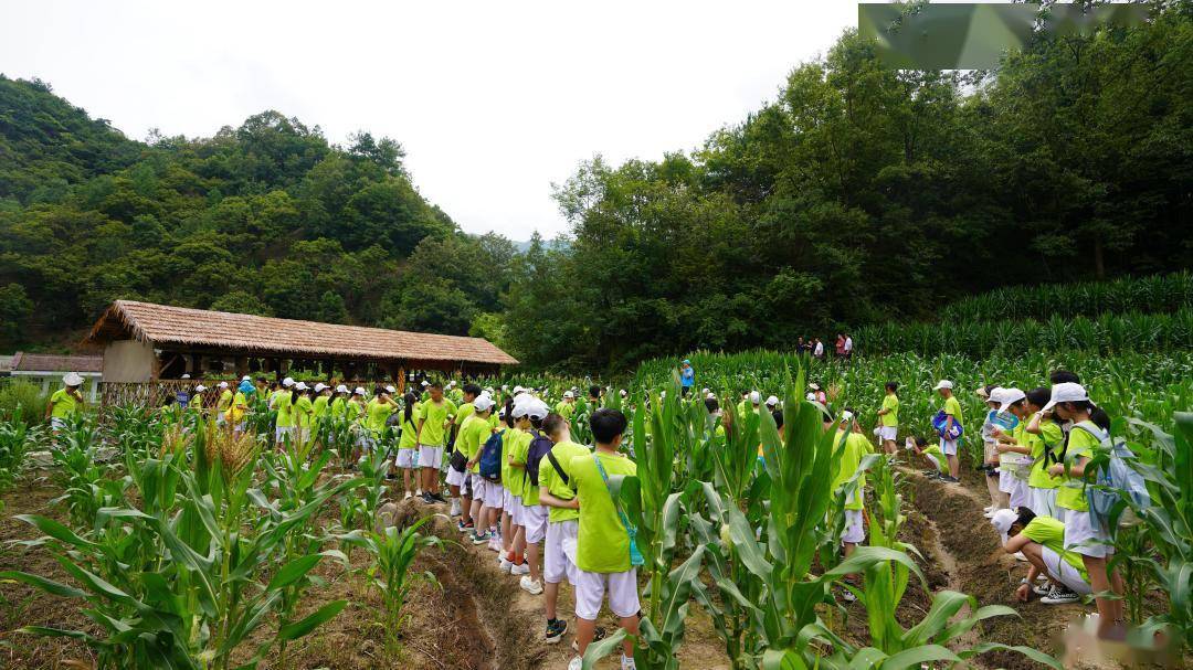 科达音箱：掌握链接方法，开启独特音乐体验之旅  第6张