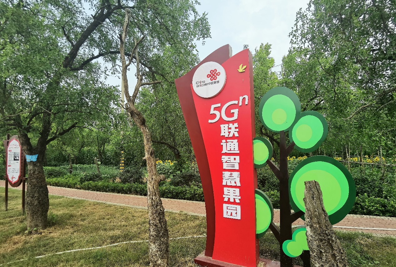 5G 手机普及之路：网络与价格的双重挑战  第6张