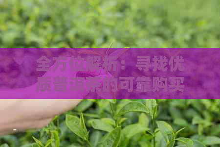 深入解析 DDr 阻抗范围，探究其对电子设备性能的影响  第5张