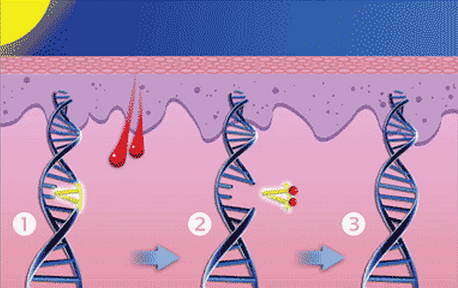 tp53突变和ddr tp53 基因变异与 DNA 损伤修复机制：生物学领域的重要探讨  第6张
