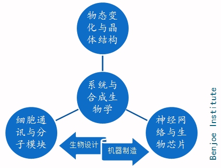 安卓技术专家带你探索应用程序结构的奥秘