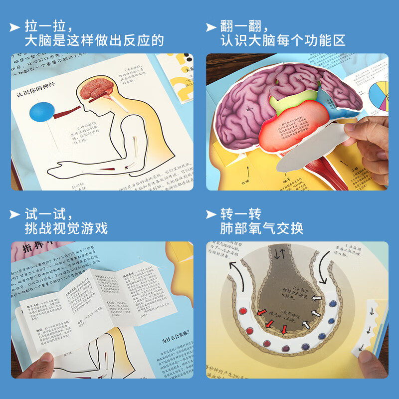 安卓技术专家带你探索应用程序结构的奥秘  第8张