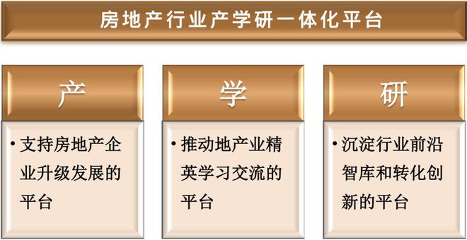 安卓系统设置事项深度探讨：提升手机性能与保障信息安全  第4张