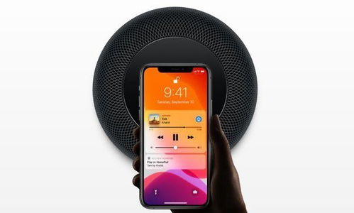 初识 HomePod Mini：小巧身躯大能量，智能音箱的杰出代表  第8张