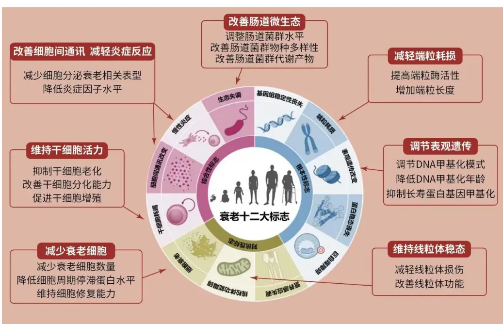 深入解析 DDR 读延时：计算机硬件领域的关键参数及其影响  第7张