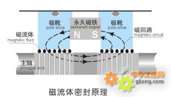 磁流体音箱与吉他音箱能否连接？从设计特点到实际应用全面解析  第7张