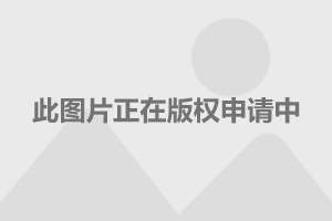 郑州日产皮卡搭载安卓系统：颠覆传统驾驶乐趣的创新之举  第8张