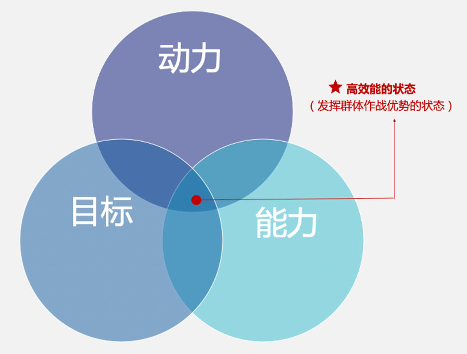 团队管理系统：提升团队凝聚力与效率的得力助手  第2张