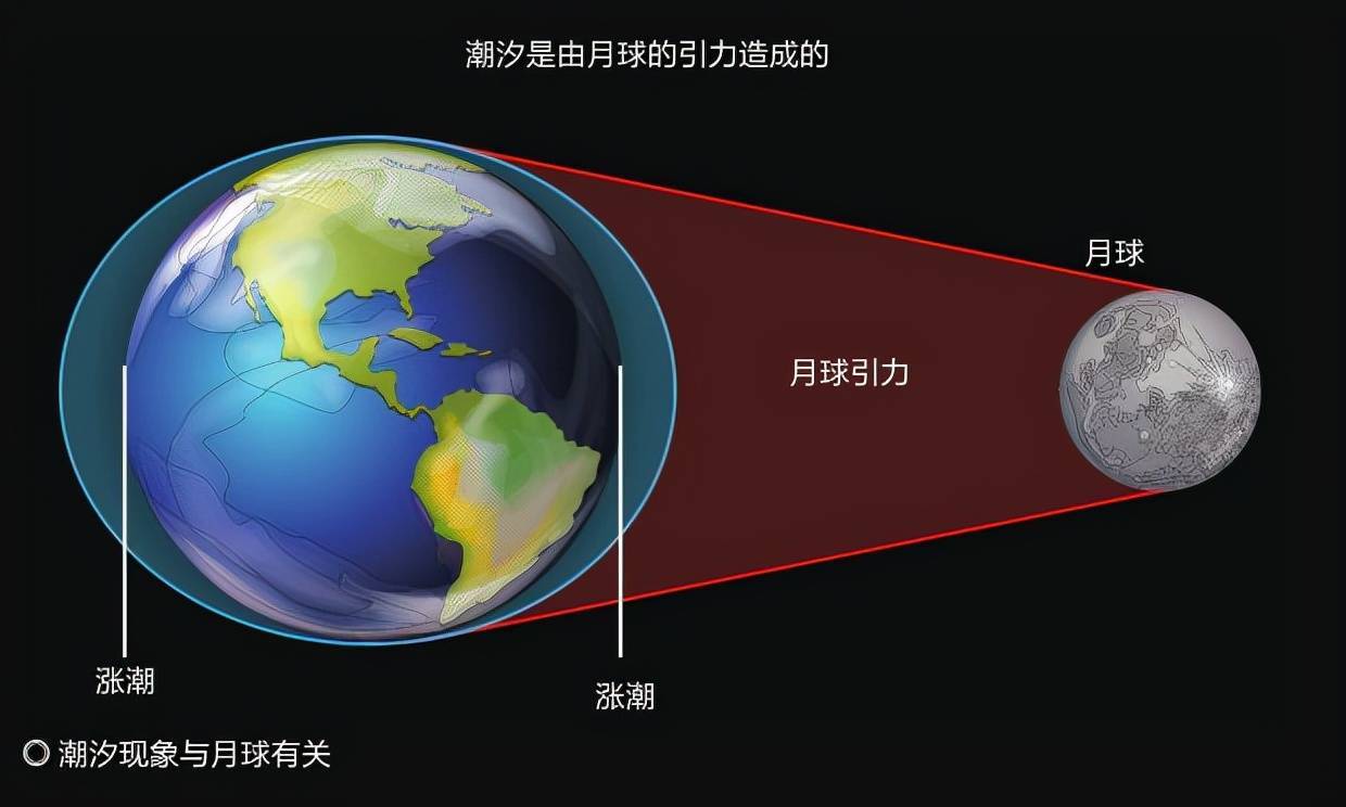 手机启动慢让人抓狂？试试这些简单设置提升速度  第8张