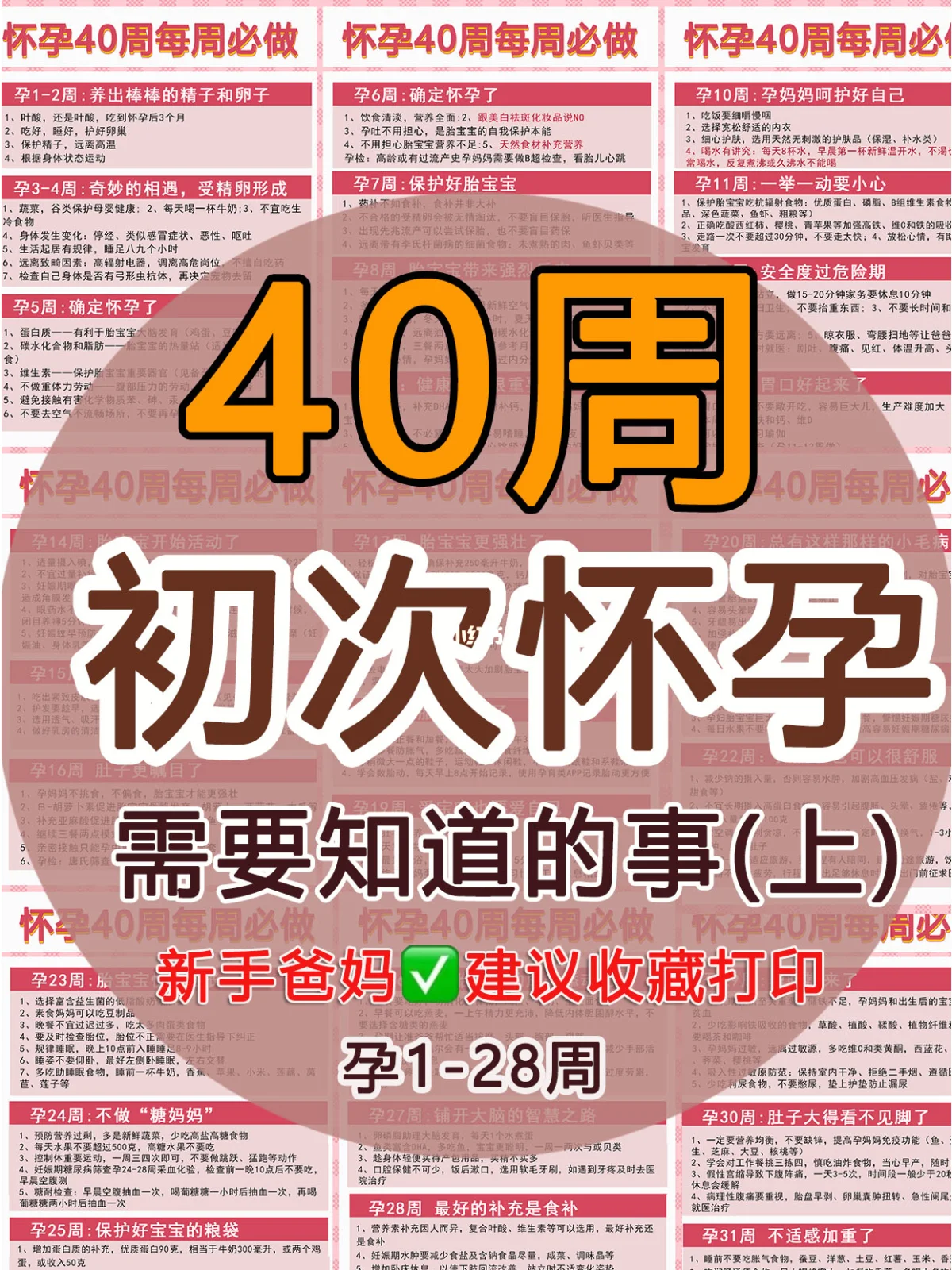 安卓用户必知：如何查询系统更新的具体日期，延长手机使用寿命  第1张