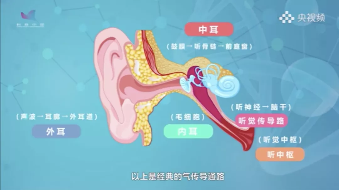 改装同轴连接：提升音质的必要途径，让音乐以最纯粹的方式传入耳朵  第8张