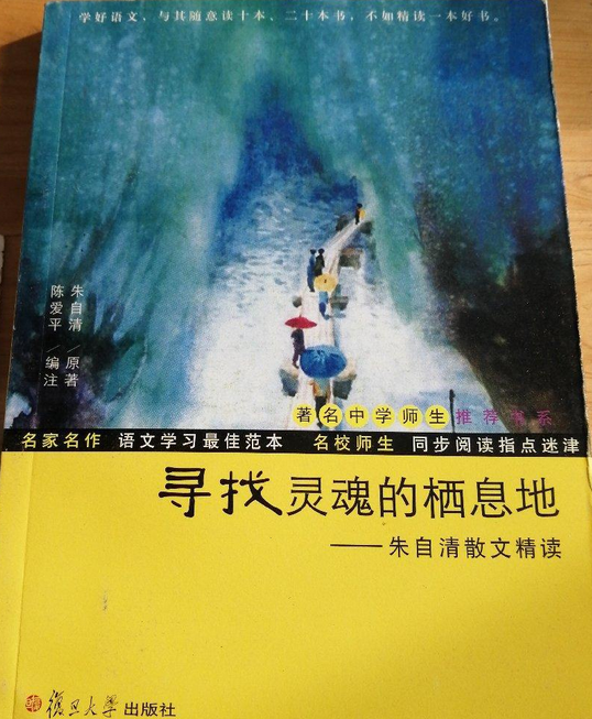 书房音箱与网线：音乐的灵魂栖息地与连接桥梁  第2张