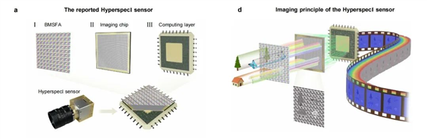 北京理工大学张军院士团队创世界最高记录！百通道百万像素高光谱实时成像器件问世  第4张