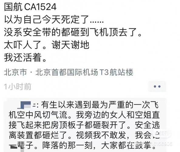 国航客机惊魂一刻：鸟群突袭，机头血迹斑斑，安全降落背后的惊险真相  第7张