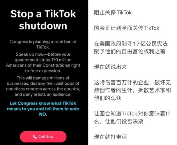 TikTok禁令倒计时：1.7亿美国人声音将被沉默，国家安全还是言论自由的牺牲品？  第3张