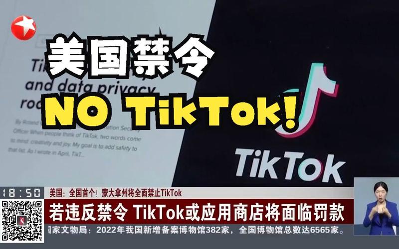 TikTok禁令倒计时：1.7亿美国人声音将被沉默，国家安全还是言论自由的牺牲品？  第8张