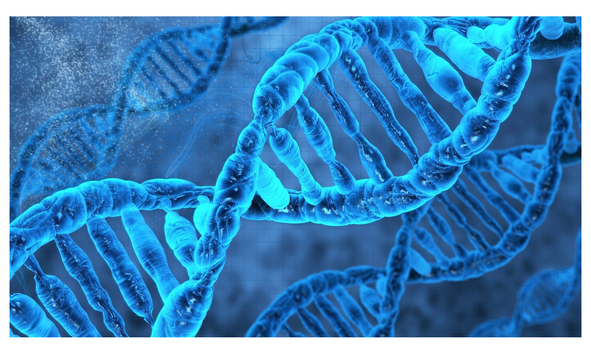 ddr2 基因 DDR2基因：揭秘生命密码，探秘健康奥秘  第3张