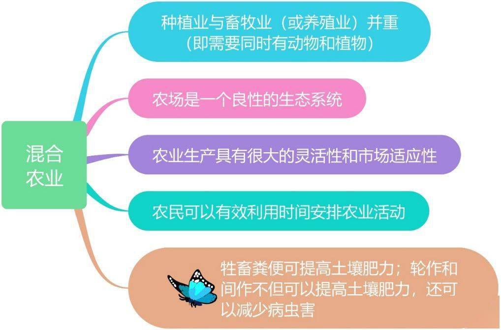 DDR内存技术特性及性能表现详解：金士顿等厂商产品分析与比较  第4张