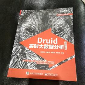 druid是哪个ddr Druid：领先的免费实时分析型数据库，满足大数据领域需求的首选  第3张