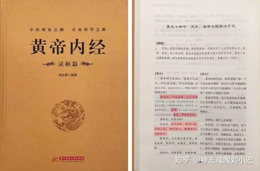 ddr有哪些书籍 舞游文化探索：DDR游戏全解与年刊详尽解读，揭示其独特魅力与发展历程  第4张