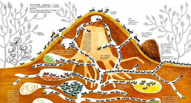 5G 信号塔的崛起：技术力量如何改变人类生活方式  第9张