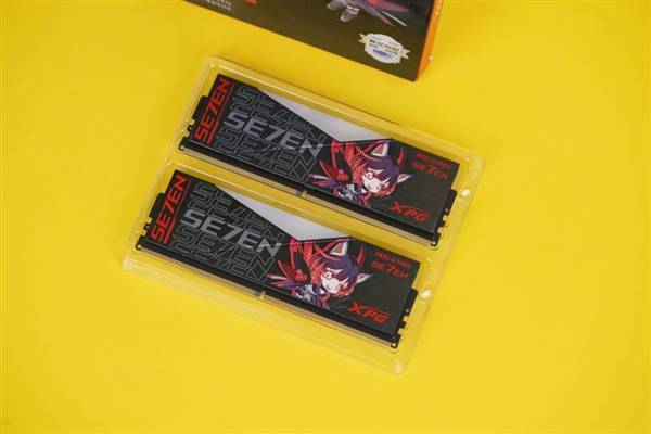 DDR5：深植科技世界的璀璨明珠，引领内存市场的速度与效能变革  第2张