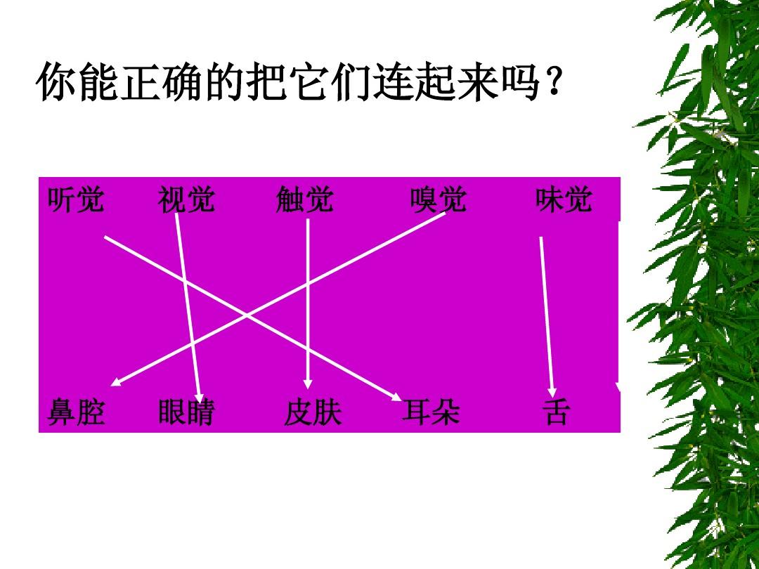 BW 音箱：音乐与生活的完美融合，听觉、视觉与触觉的三重享受  第5张