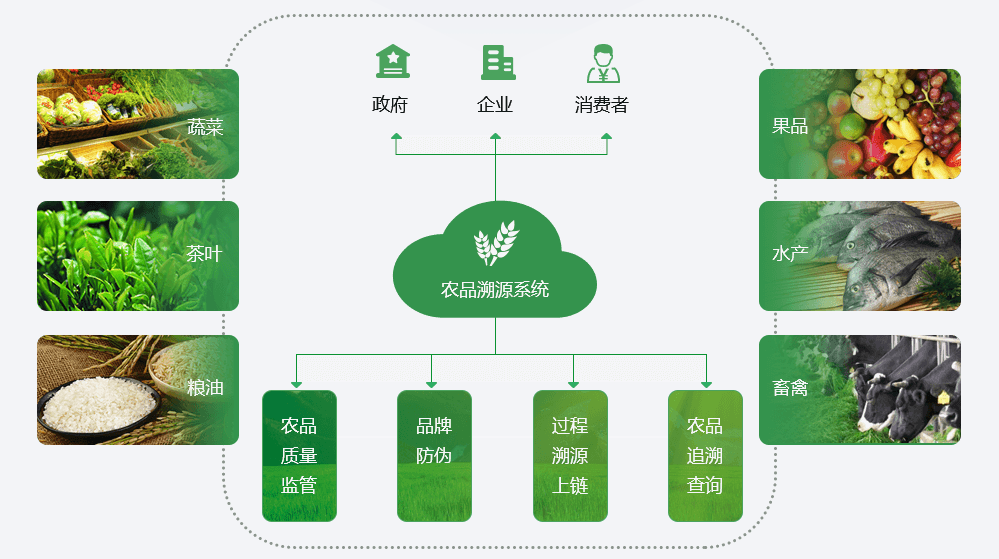 从安卓到 iOS：技术选型与生活模式的转型之旅  第5张