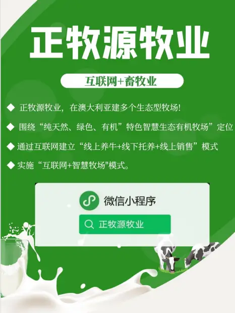 2020 年春季苹果 5G 手机震撼登场，引领科技与艺术完美融合新潮流  第2张