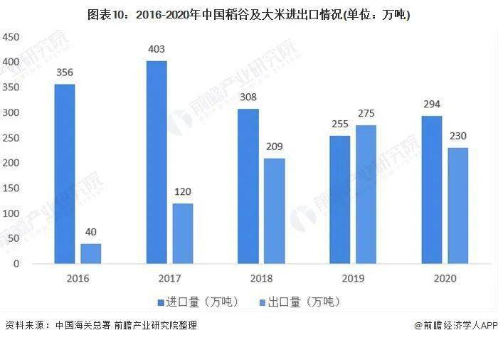 ddr大米 从美味食物爱好者角度剖析 DDR 大米的独特魅力与发展历程