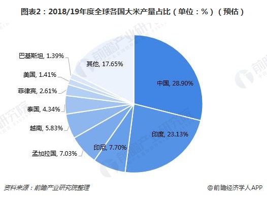 ddr大米 从美味食物爱好者角度剖析 DDR 大米的独特魅力与发展历程  第2张