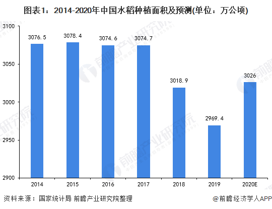 ddr大米 从美味食物爱好者角度剖析 DDR 大米的独特魅力与发展历程  第5张