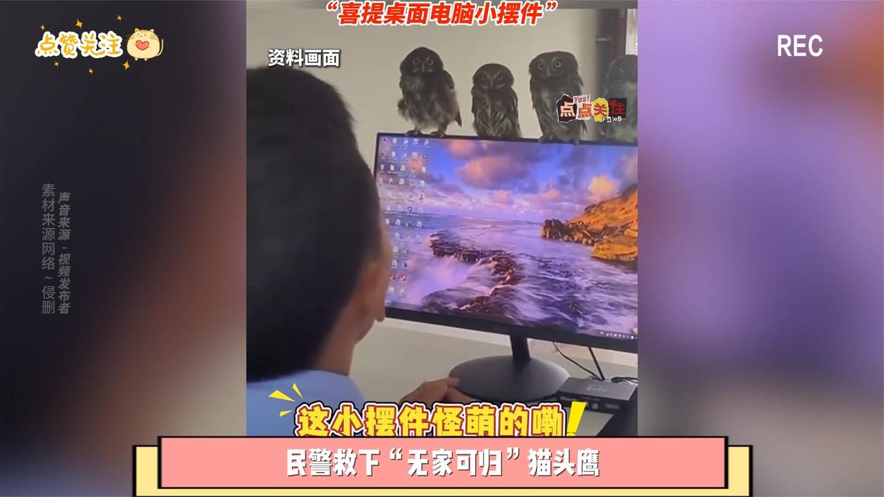 小巷人家热播，蛇瓜喜提热搜，你吃过吗？  第8张