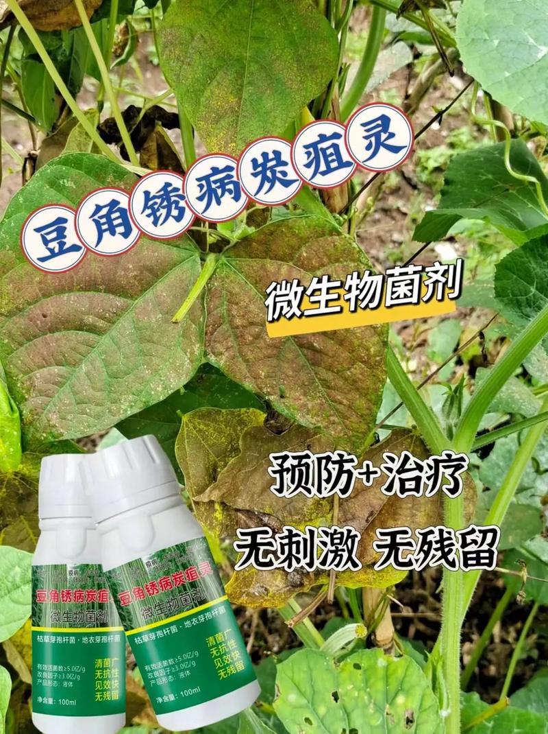 植物受伤了怎么办？揭秘它们如何应对狂风暴雨和病害侵袭  第2张