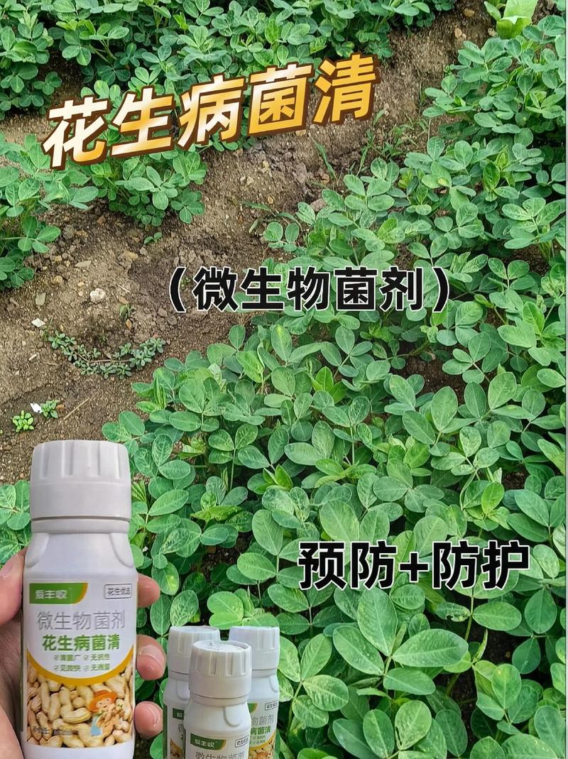 植物受伤了怎么办？揭秘它们如何应对狂风暴雨和病害侵袭  第6张