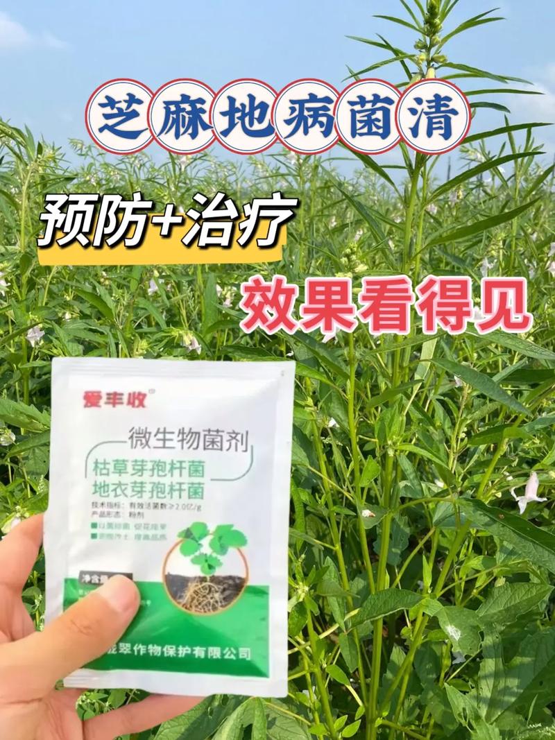 植物受伤了怎么办？揭秘它们如何应对狂风暴雨和病害侵袭  第7张