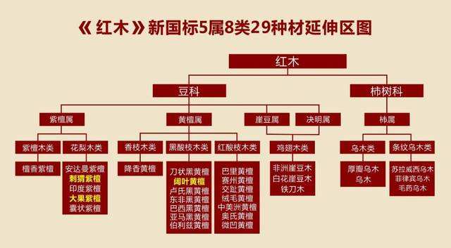 ddr520zjh DDR520ZJH：一个普罗大众的特殊情感与热情的象征  第6张