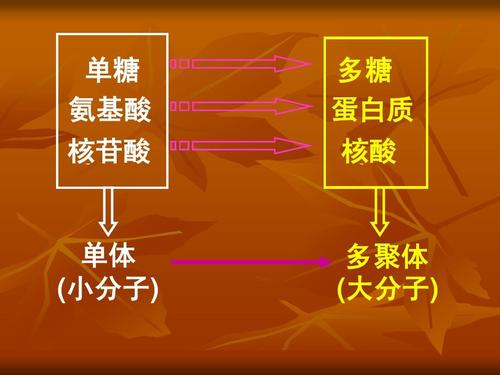 音箱连接nas 音响与 NAS 的初次邂逅：演绎生活中的情感纠葛  第6张