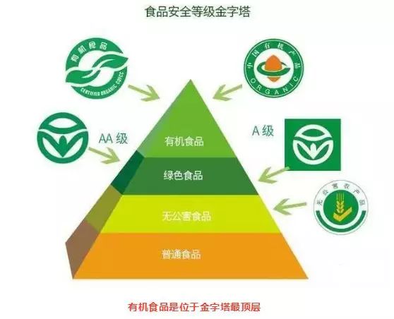 DDR5 内存条：引领技术新阶段，如何挑选适合自己的热门产品？  第4张