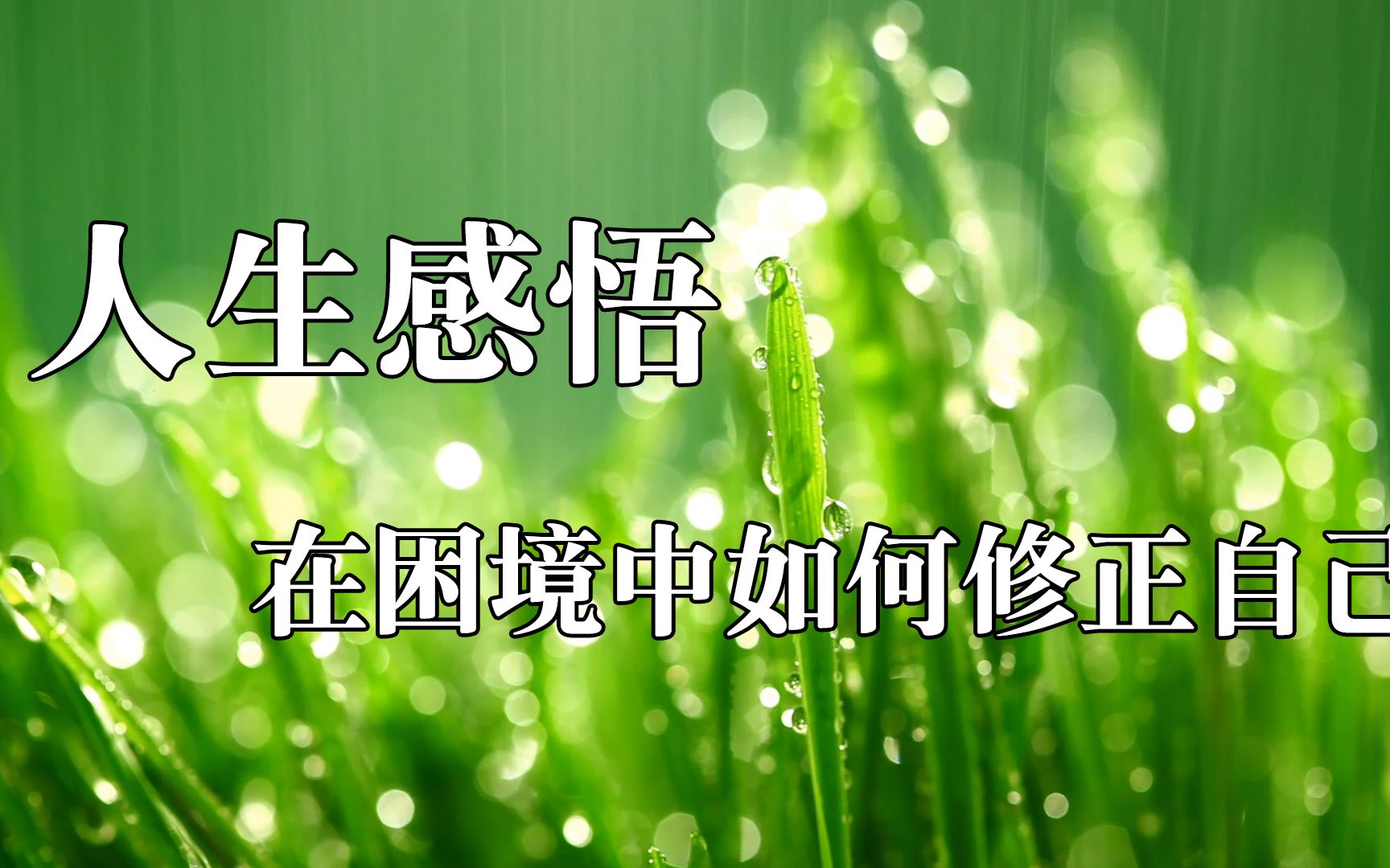 智能音箱：从装饰元素到情感沟通的桥梁，分享与它的温暖故事  第4张