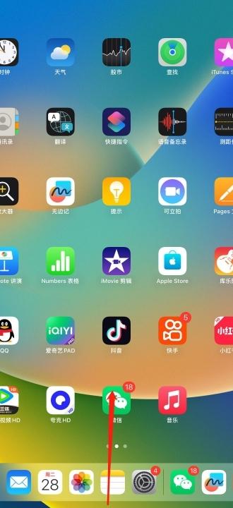 如何利用 iPad 与音箱打造动感音乐体验？这些准备工作你需要知道  第1张