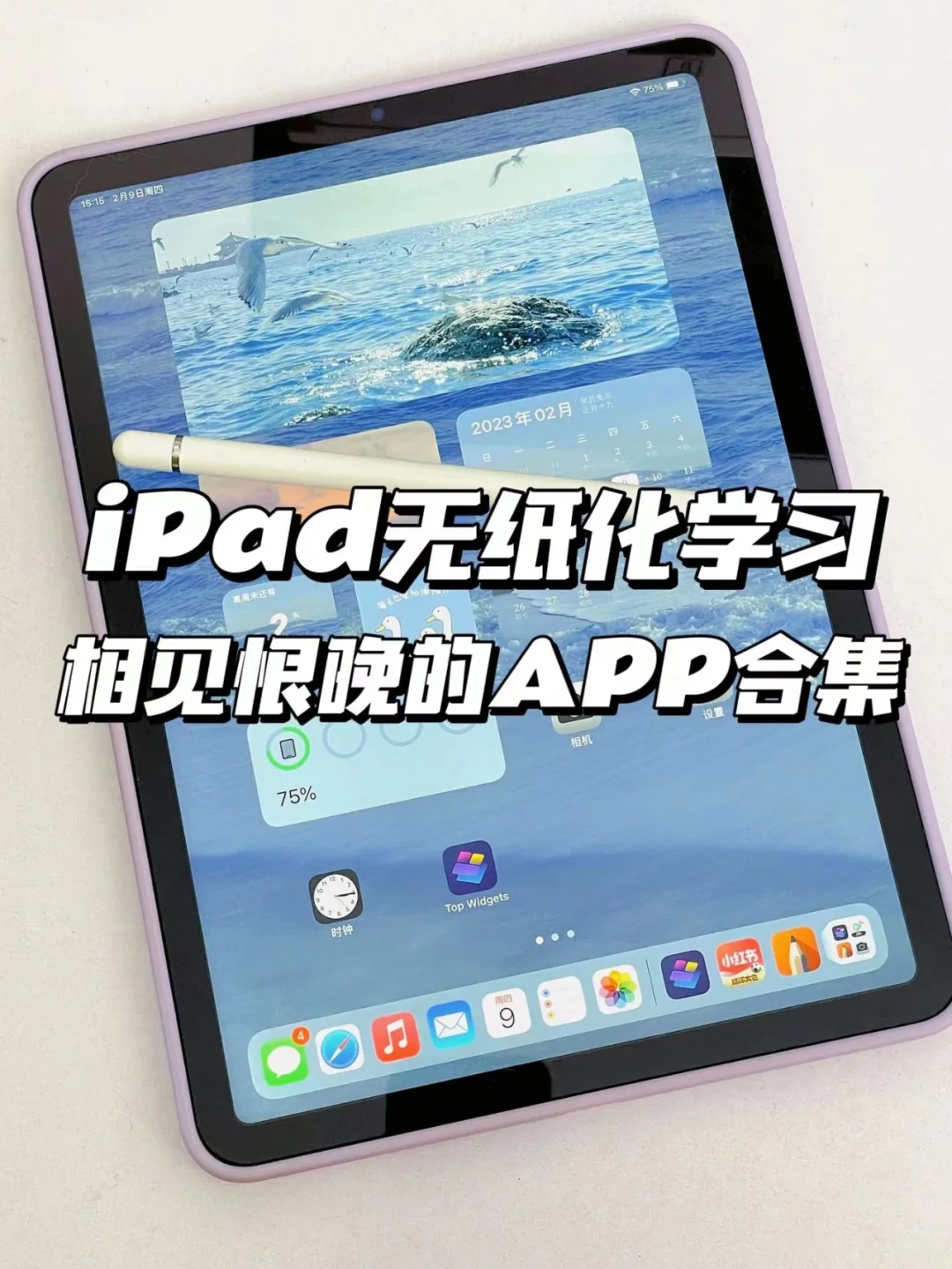 如何利用 iPad 与音箱打造动感音乐体验？这些准备工作你需要知道  第4张